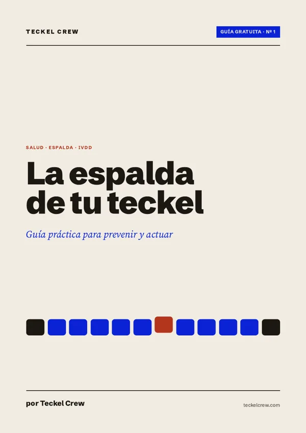 Portada de la guía gratuita «La espalda de tu teckel» de Teckel Crew